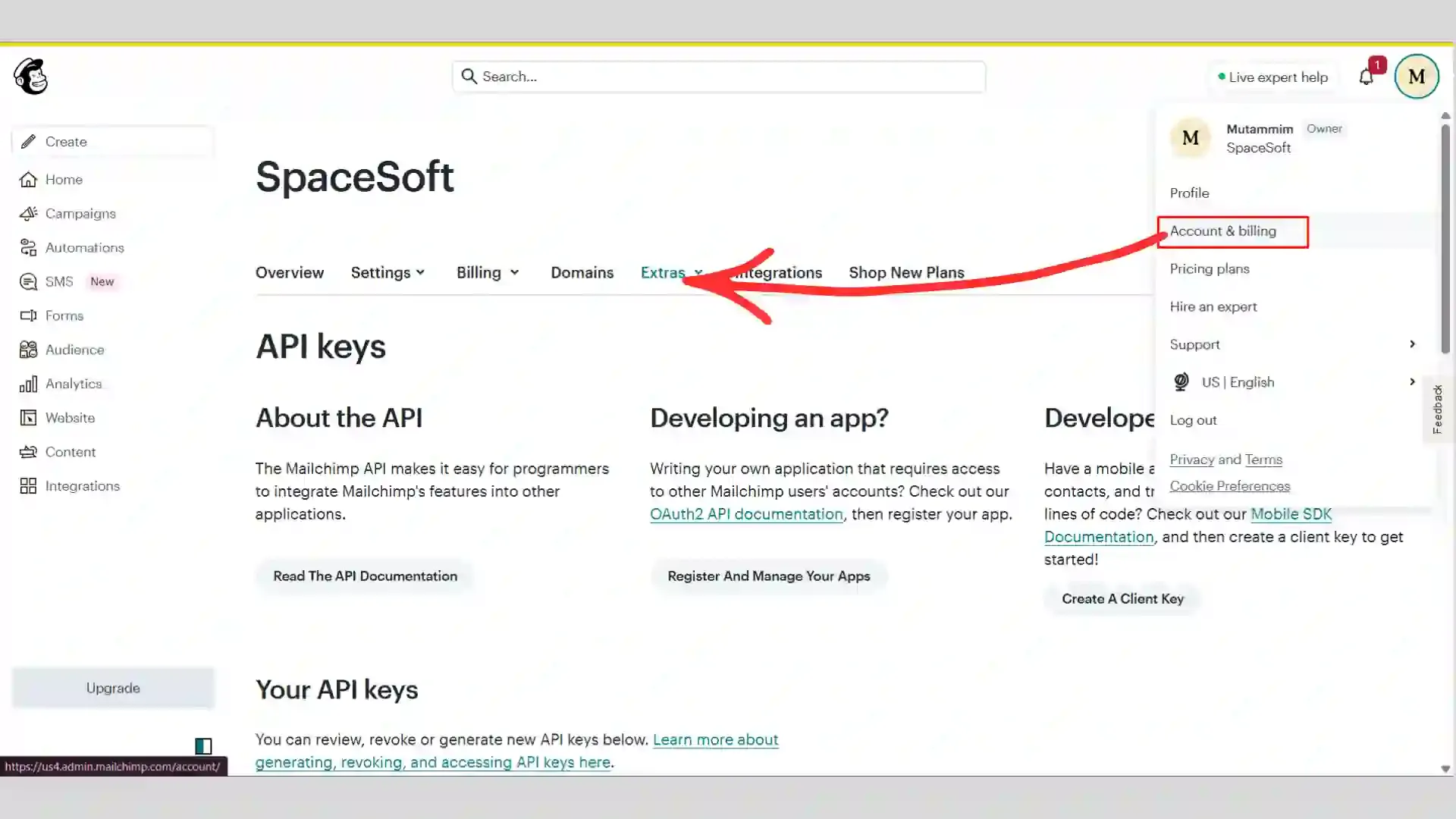 Mailchimp API Key